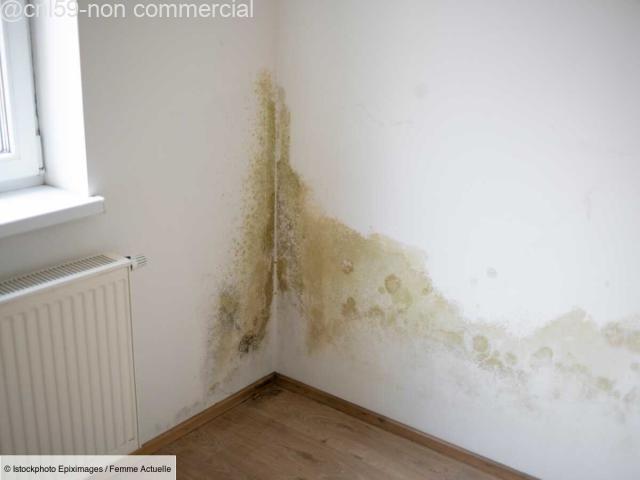 Logement décent Logement décent